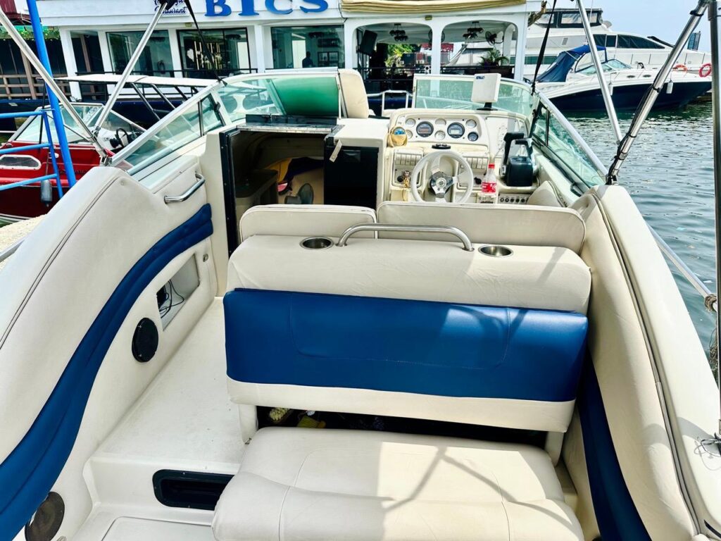 10 Seater Blue Vroom Cabin Cruise Boat
